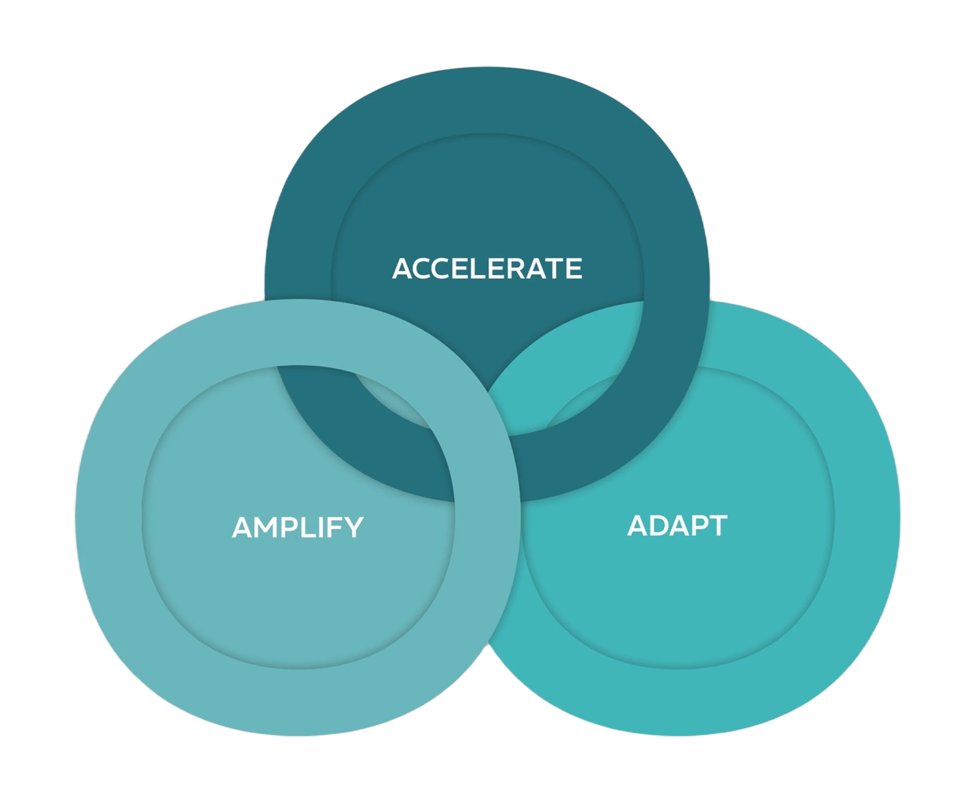 erasebg-transformed (1) 1